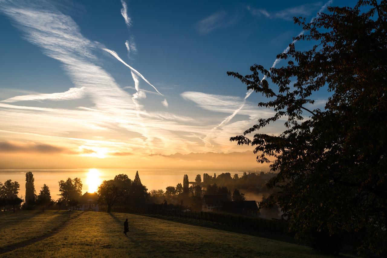 Landgasthof Halbinsel Au Wädenswil Buitenkant foto