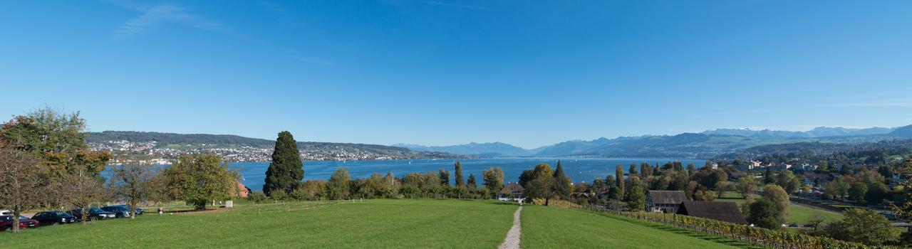 Landgasthof Halbinsel Au Wädenswil Buitenkant foto