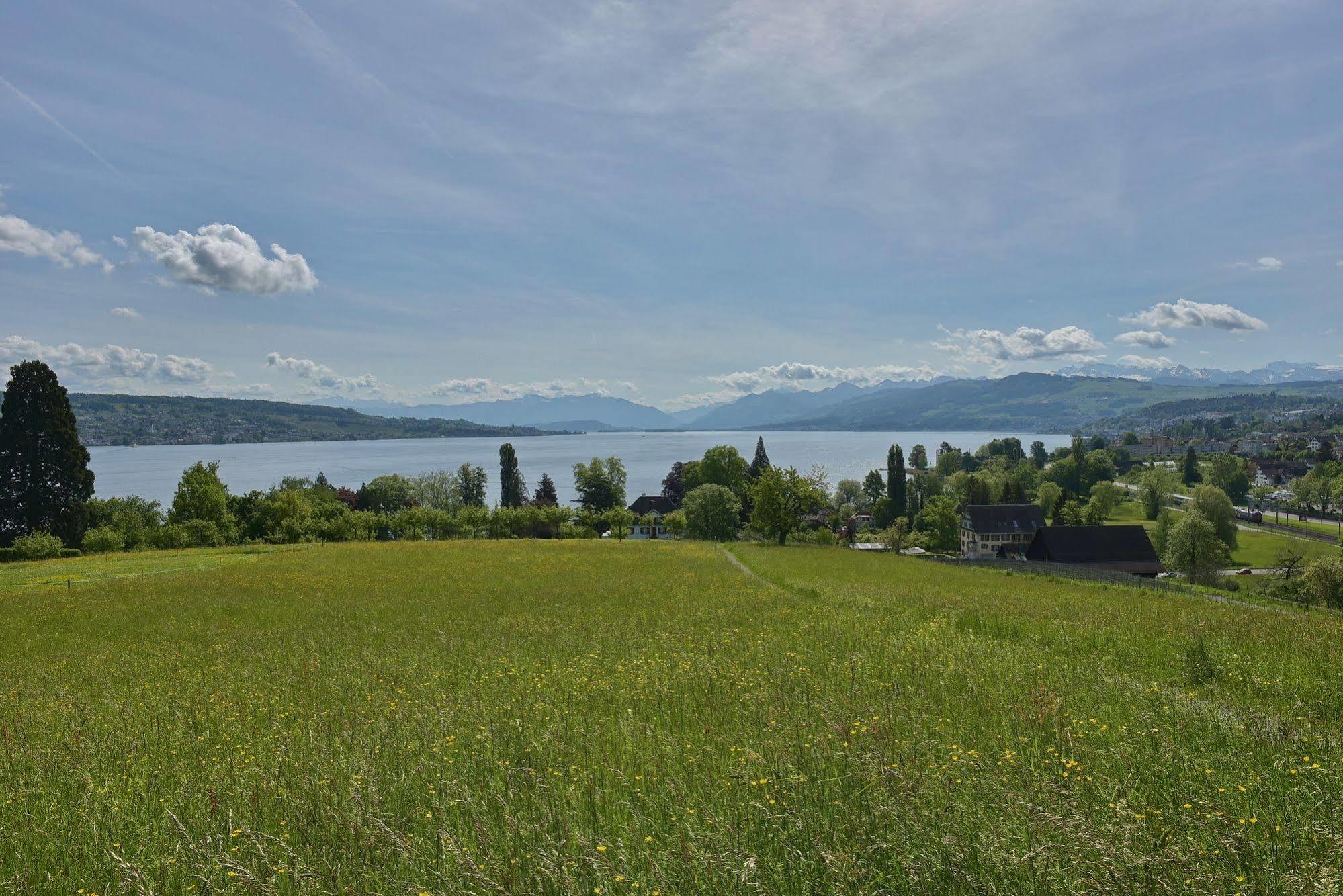 Landgasthof Halbinsel Au Wädenswil Buitenkant foto